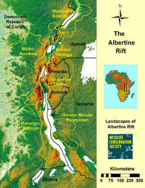 Albertine Rift landscape